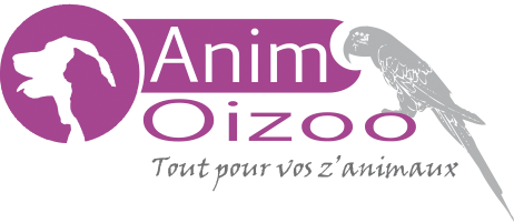 Animoizoo